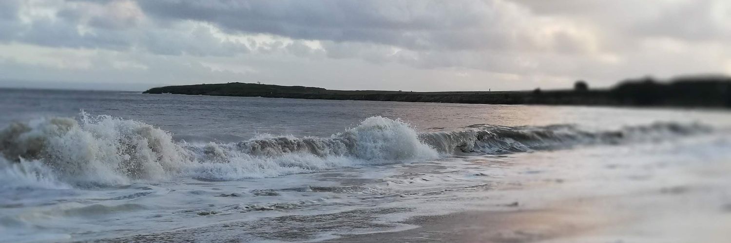 Sarah Sweeney banner