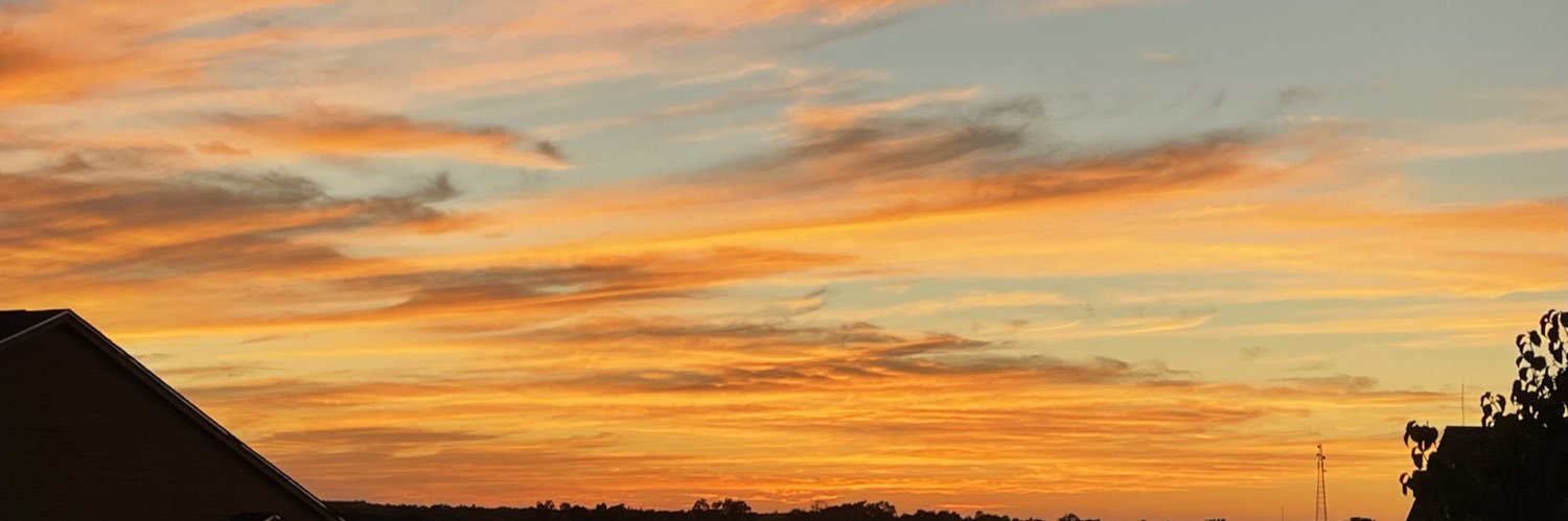 MollyRayborn's profile banner image