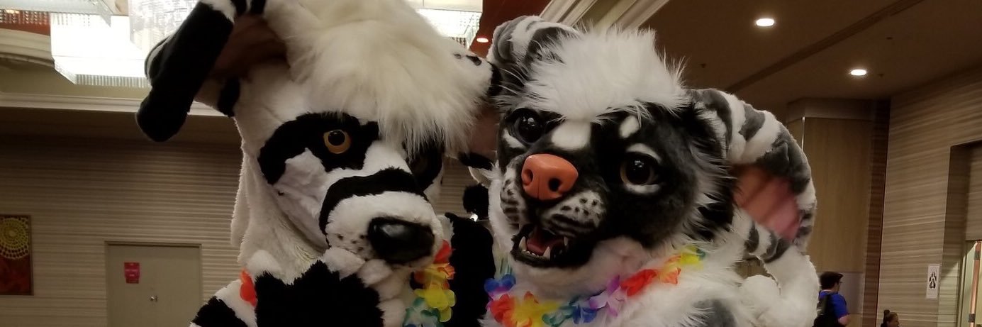 Bindi_Crux's profile banner image