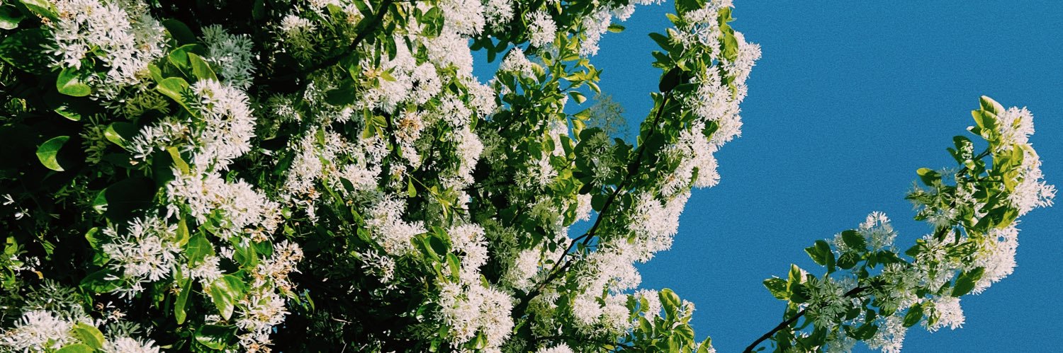 __amandarae_'s profile banner image