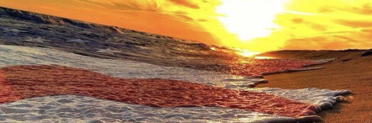 daniel_frisbie's profile banner image