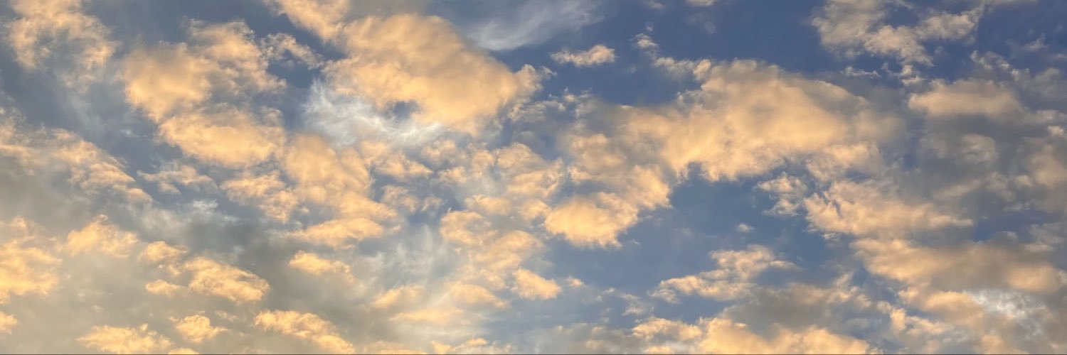 B8dHg's profile banner image