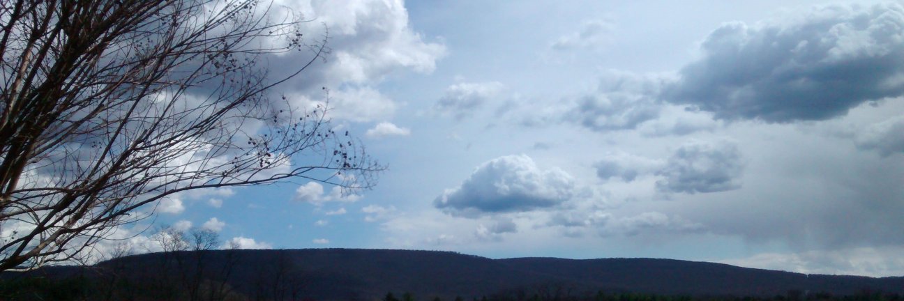 stephreill's profile banner image