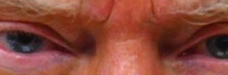 Me First banner