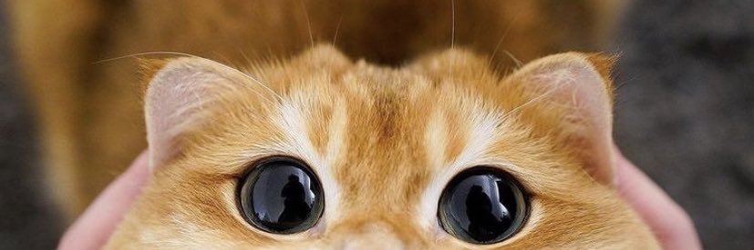 arw4alkh's profile banner image