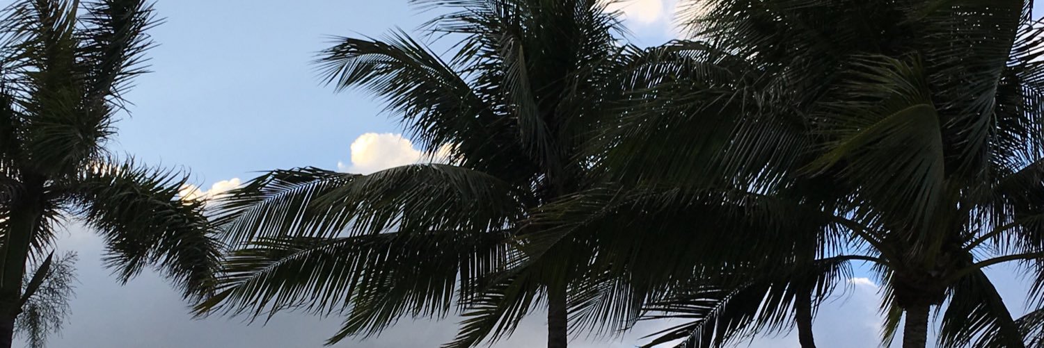 dmwlsw's profile banner image