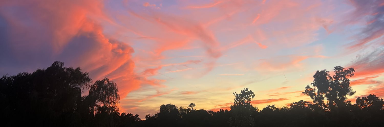 Rachel Longmate banner