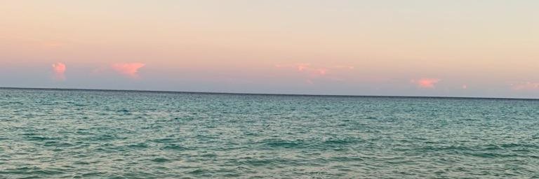 PepePerlaNegra's profile banner image