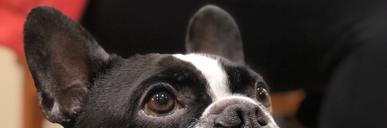 FMuscroft's profile banner image