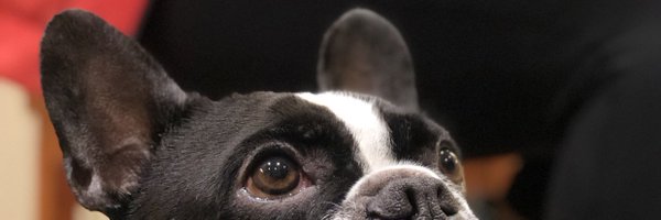 FMuscroft Profile Banner