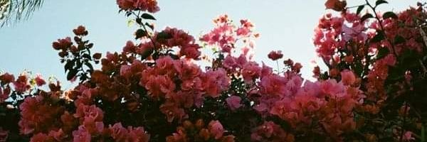juanAtlass's profile banner image