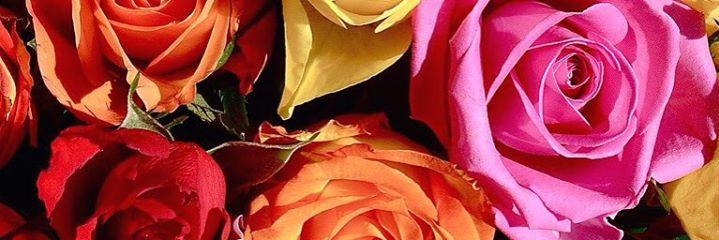sendyourflowers's profile banner image