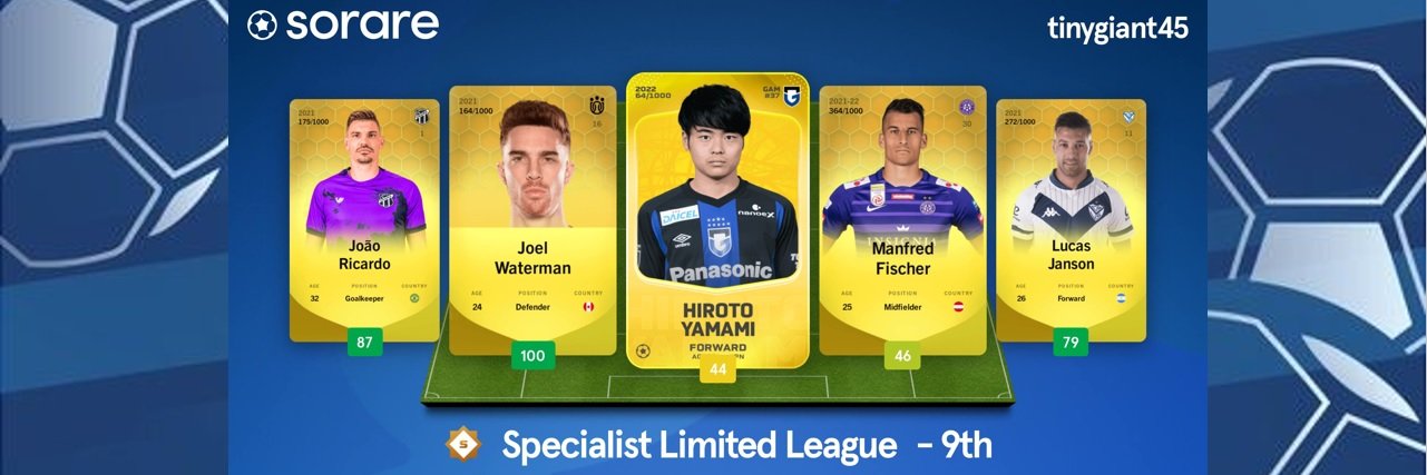 tinygiant45 banner