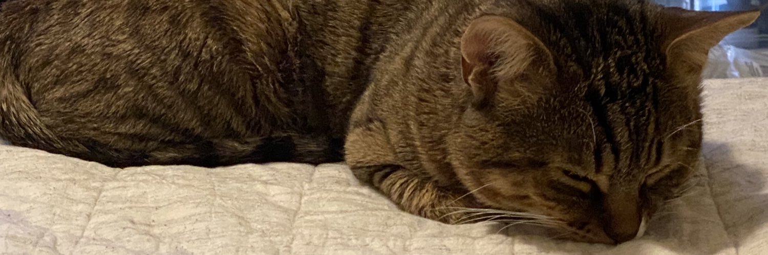 Riley B. Smith banner