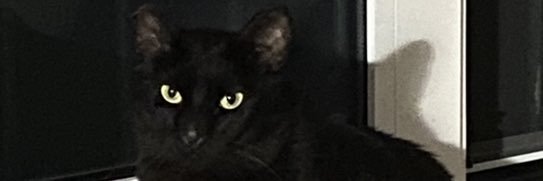 pacolng's profile banner image