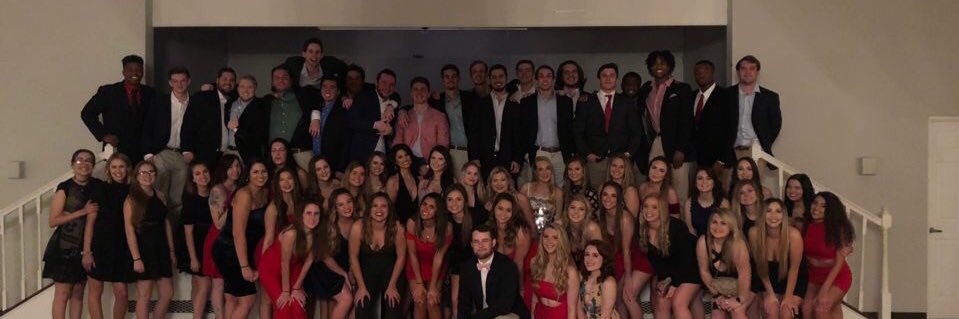 Delta Chi banner