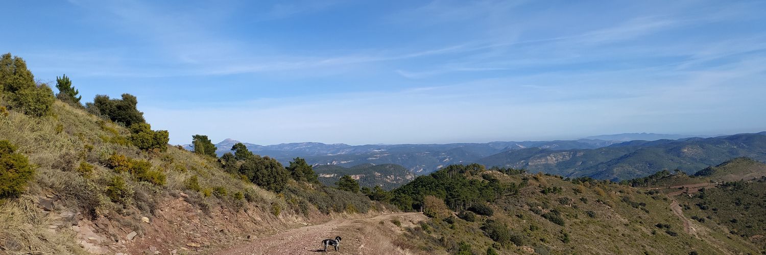 97im's profile banner image