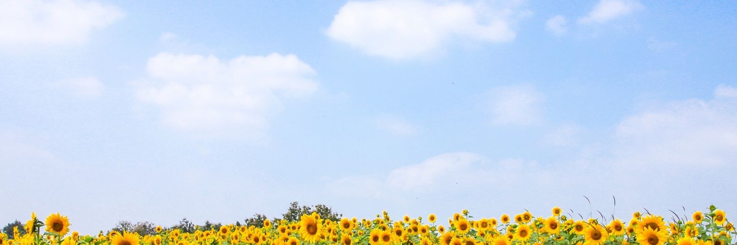 Mattrush77's profile banner image