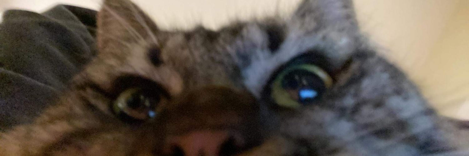 cnelae's profile banner image