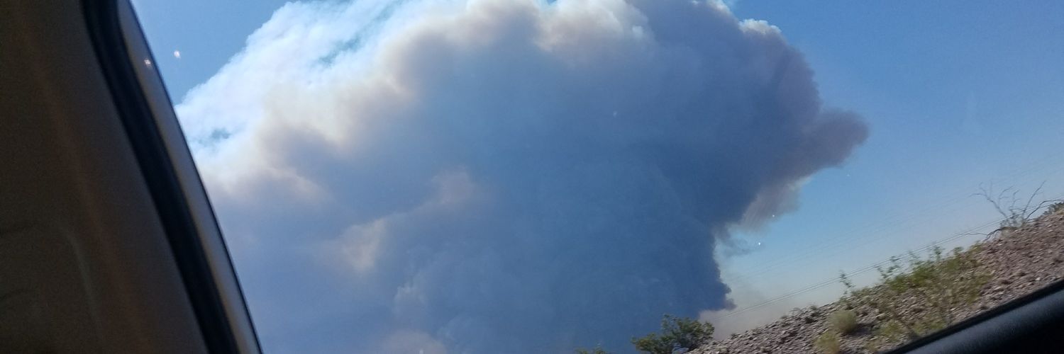 camellito2's profile banner image