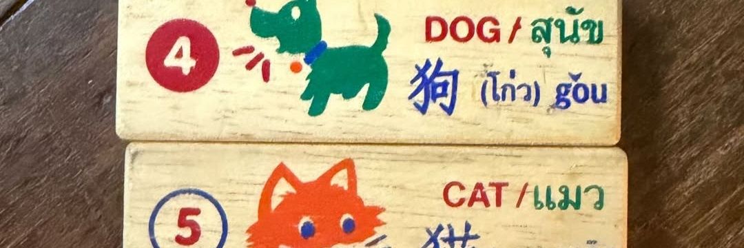 พิแพ้ดพลังเลิ้บ ♡ 𝘑𝘪𝘮𝘮𝘺𝘖𝘩𝘮 ☁️ . banner