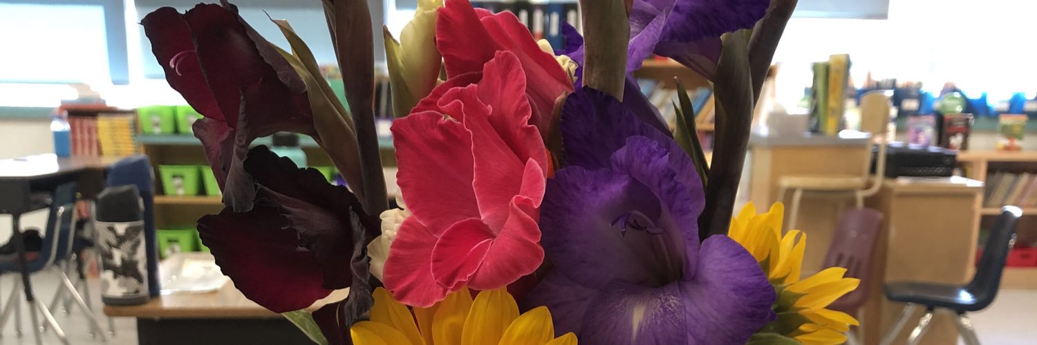 Jen Anderson banner