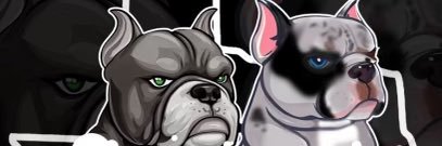 Suggotit_'s profile banner image