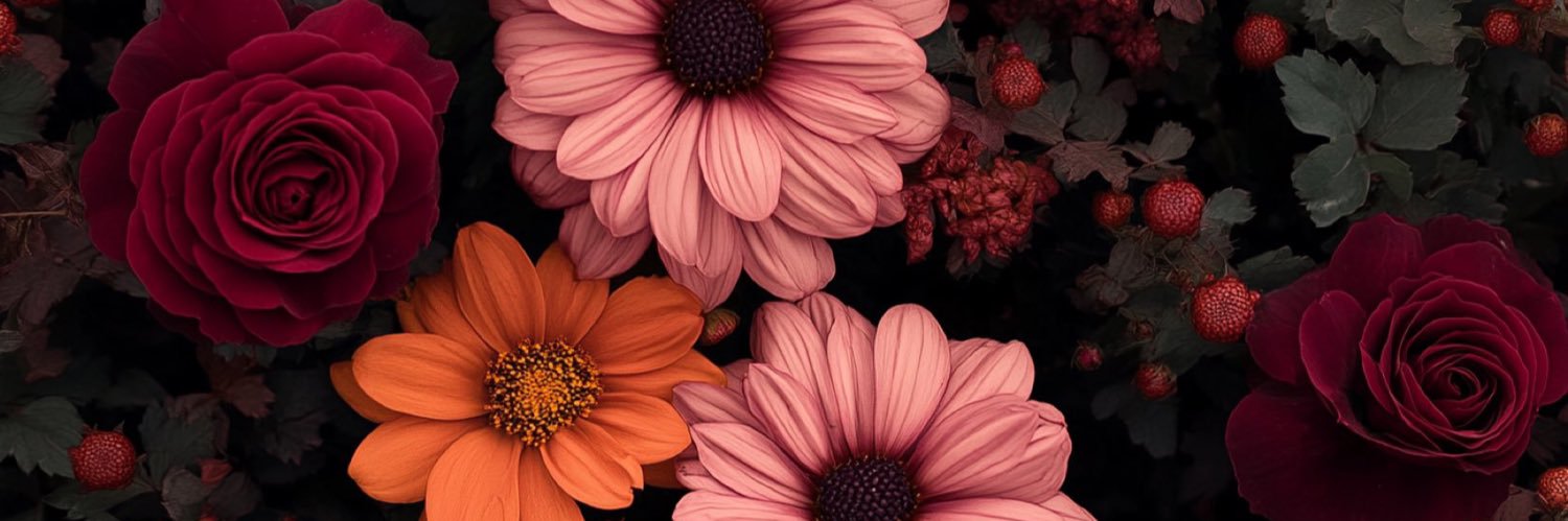 Sindelbabe_'s profile banner image