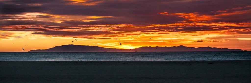 Living805's profile banner image