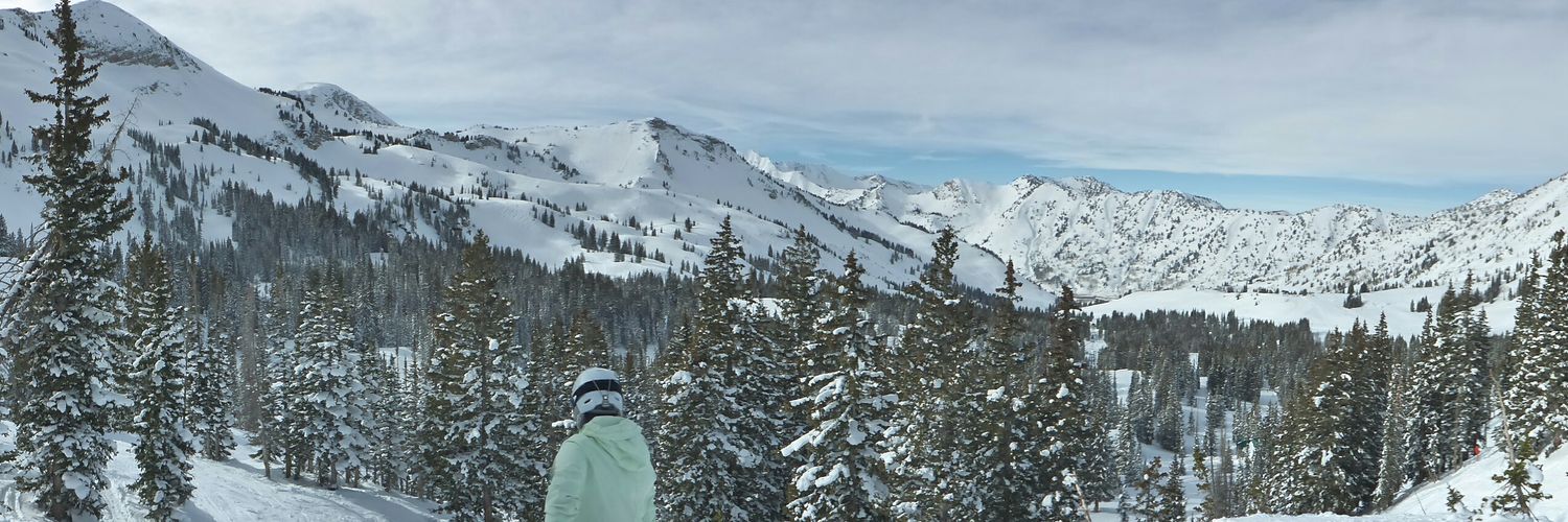 Betsy Congdon banner