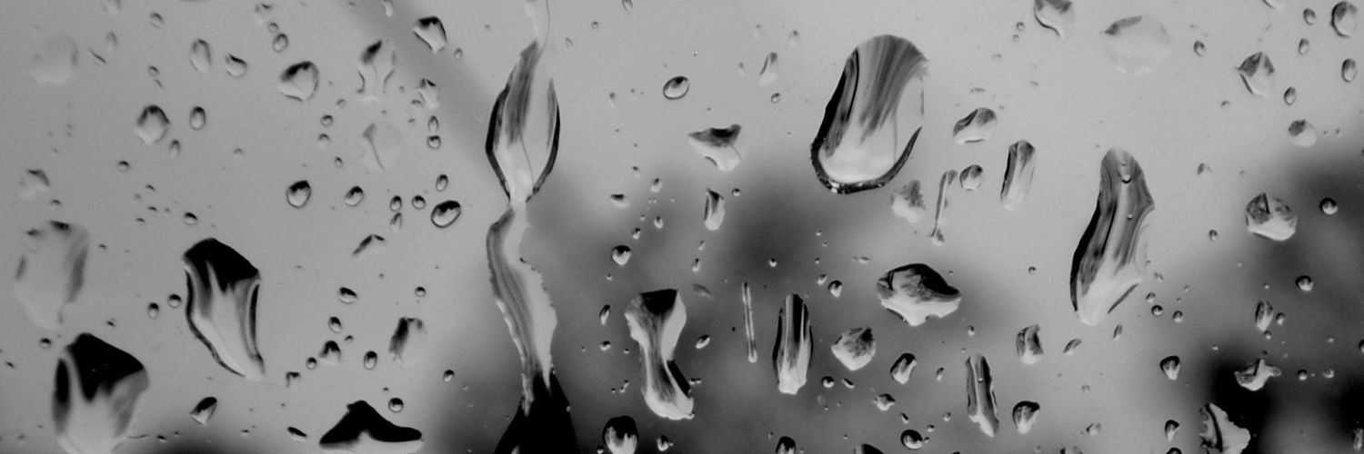 noviserly's profile banner image