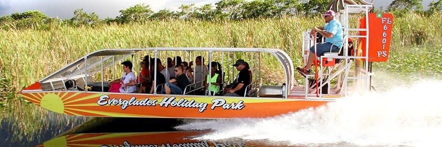 everglades's profile banner image