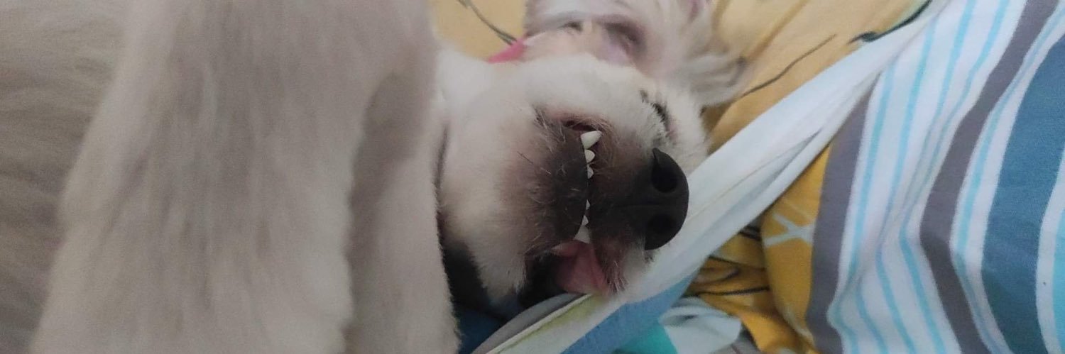 mishcaaaaaaa's profile banner image