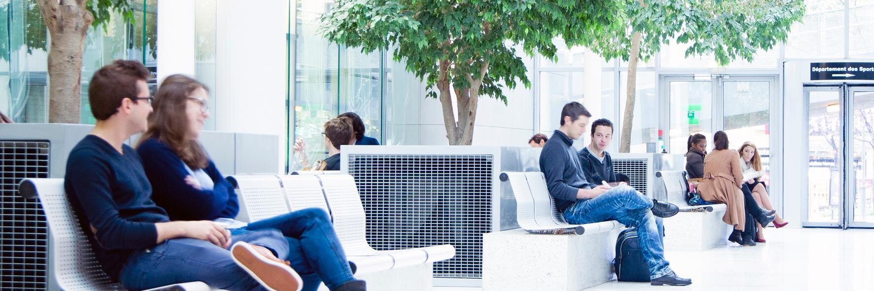 Anne-Marie Patard banner