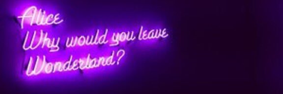 mycrazyfandom's profile banner image