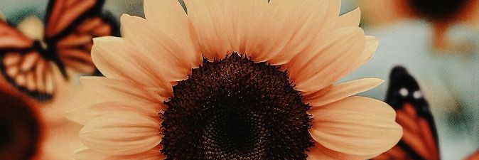 emimarasco's profile banner image