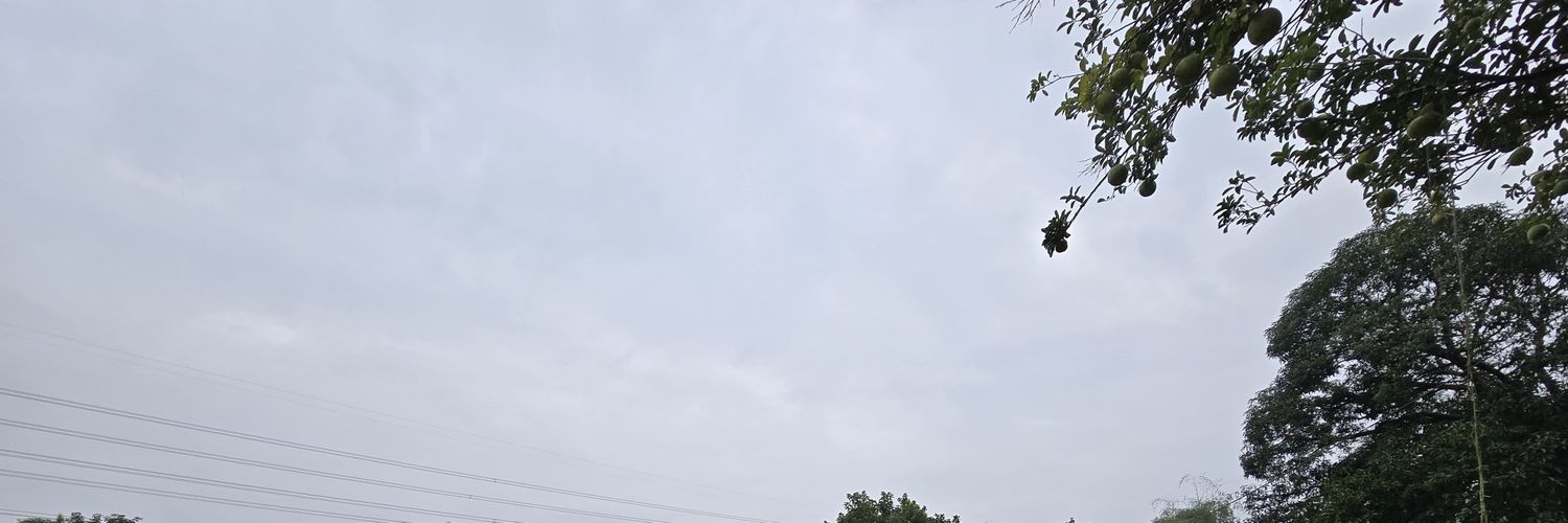 WesluTV's profile banner image