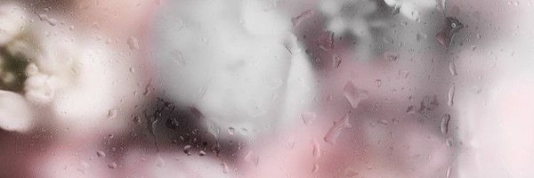 evdible Profile Banner