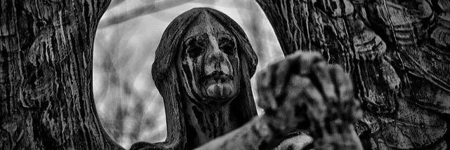 LeightonScottia's profile banner image