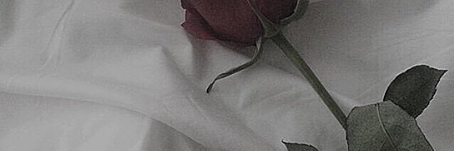 t_a_g___ay's profile banner image