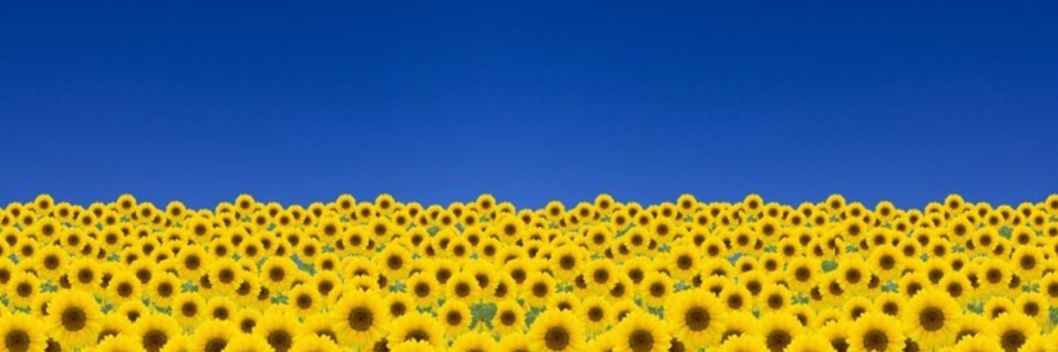 LibCon 🇪🇺🎗️⚖️ banner