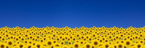 Conservator1966 Profile Banner