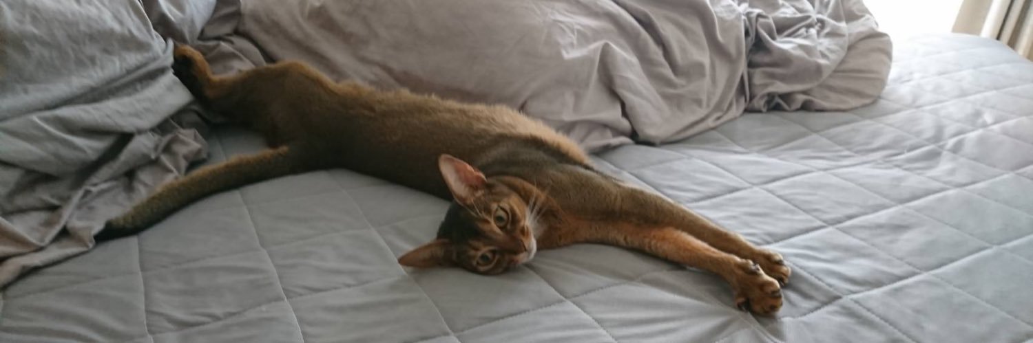 KattyIII's profile banner image
