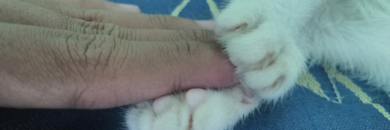 Permen_yupi's profile banner image