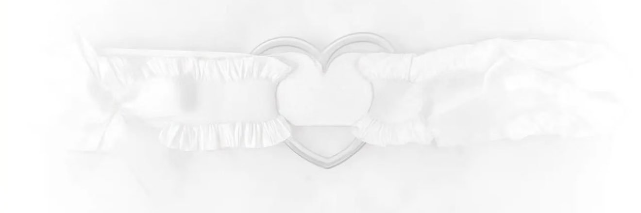 昭昭（互推版） banner