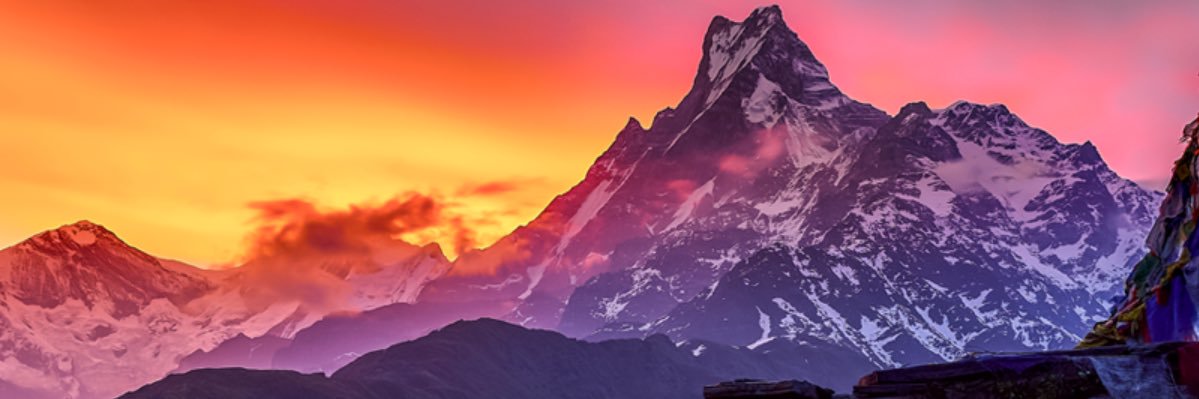 Realshrota's profile banner image
