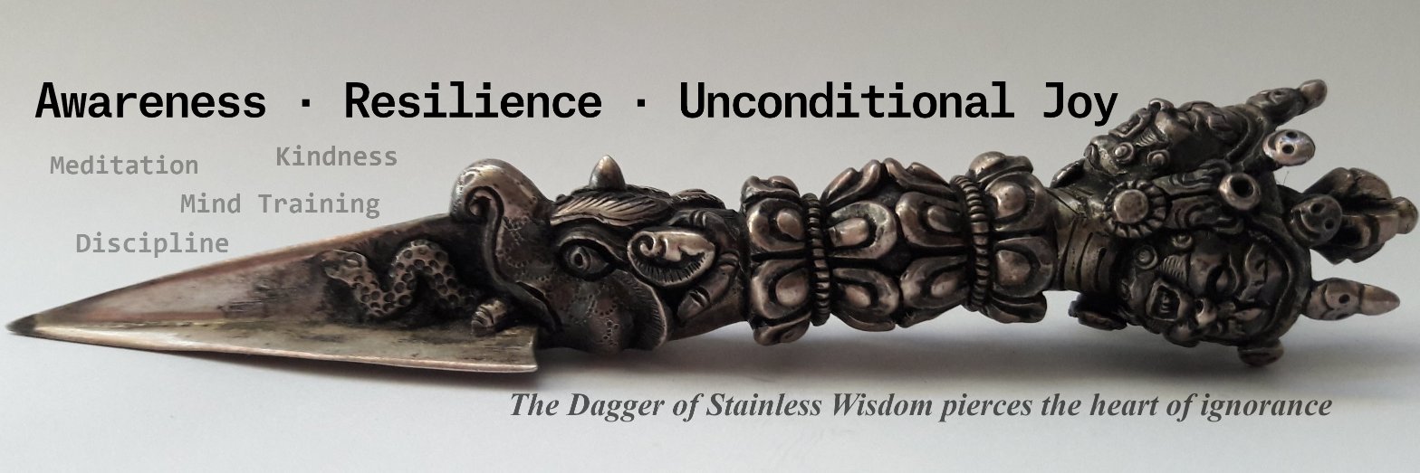 Dan DeRobertis 💋 banner