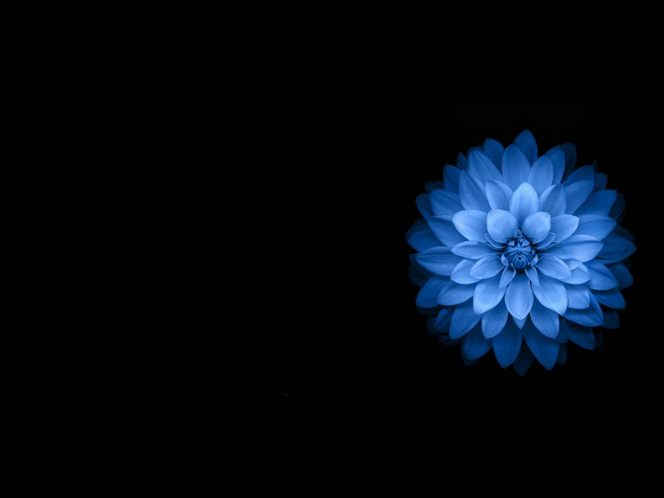 LancinAlex's profile banner image