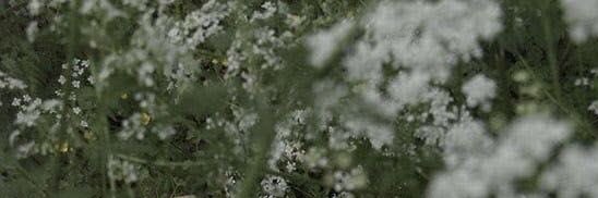 sssheee22's profile banner image