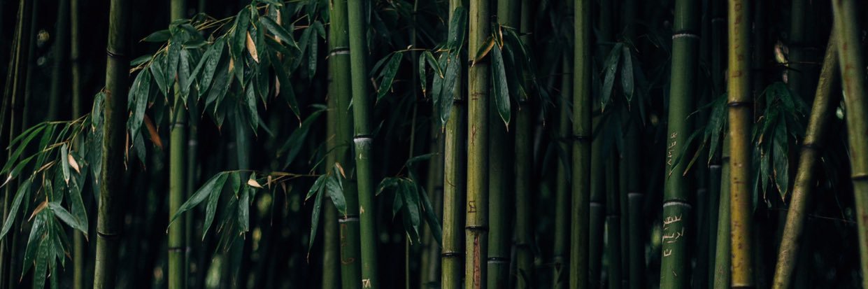 verniy_sputnik's profile banner image